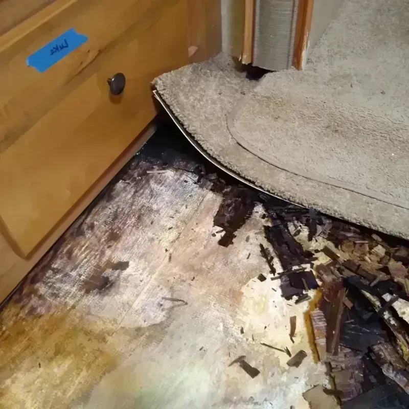 Best Wood Floor Water Damage Service in Martinsville, VA